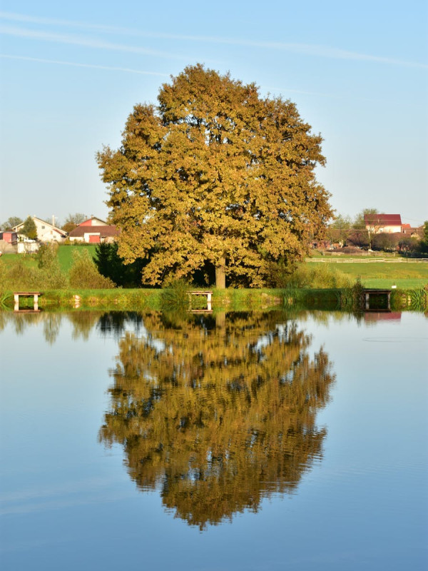 Éclairs Mixed Flavours (6)