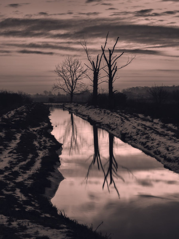 Plant Mist Bottle — Copper