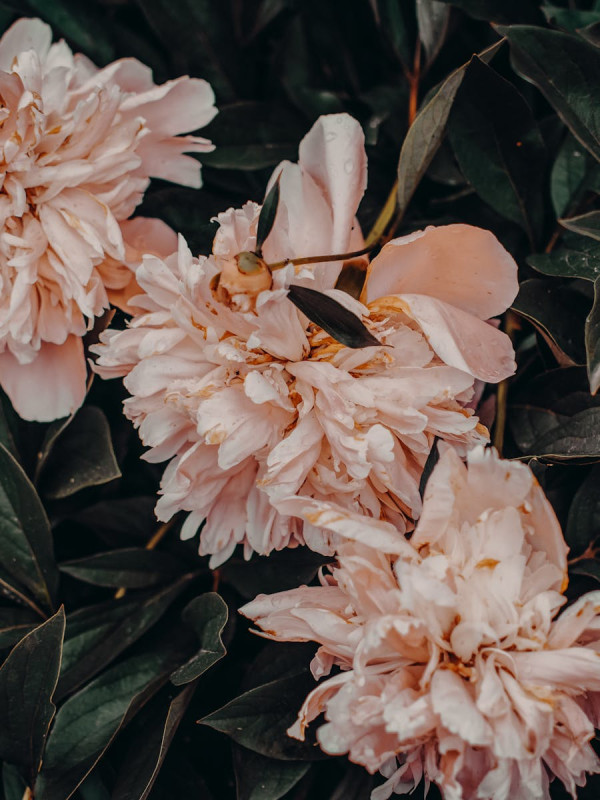 Hand-thrown Ceramic — 10